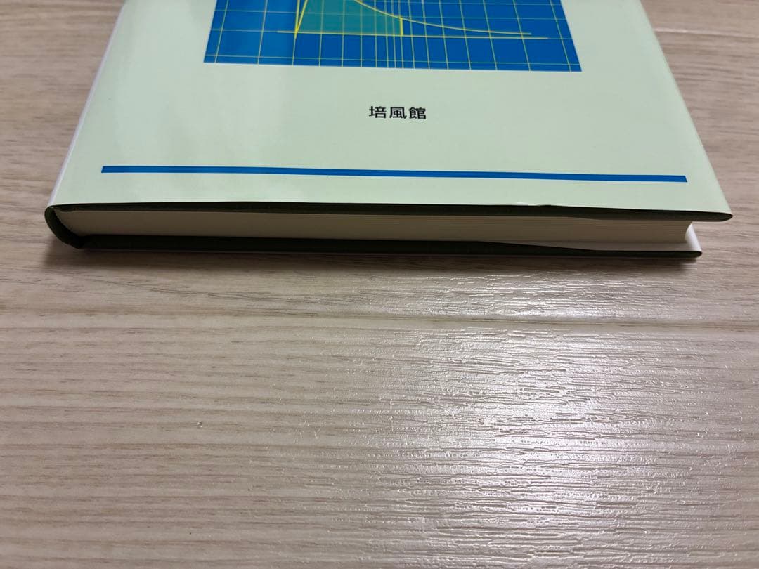 リスク・セオリーの基礎 岩沢宏和著