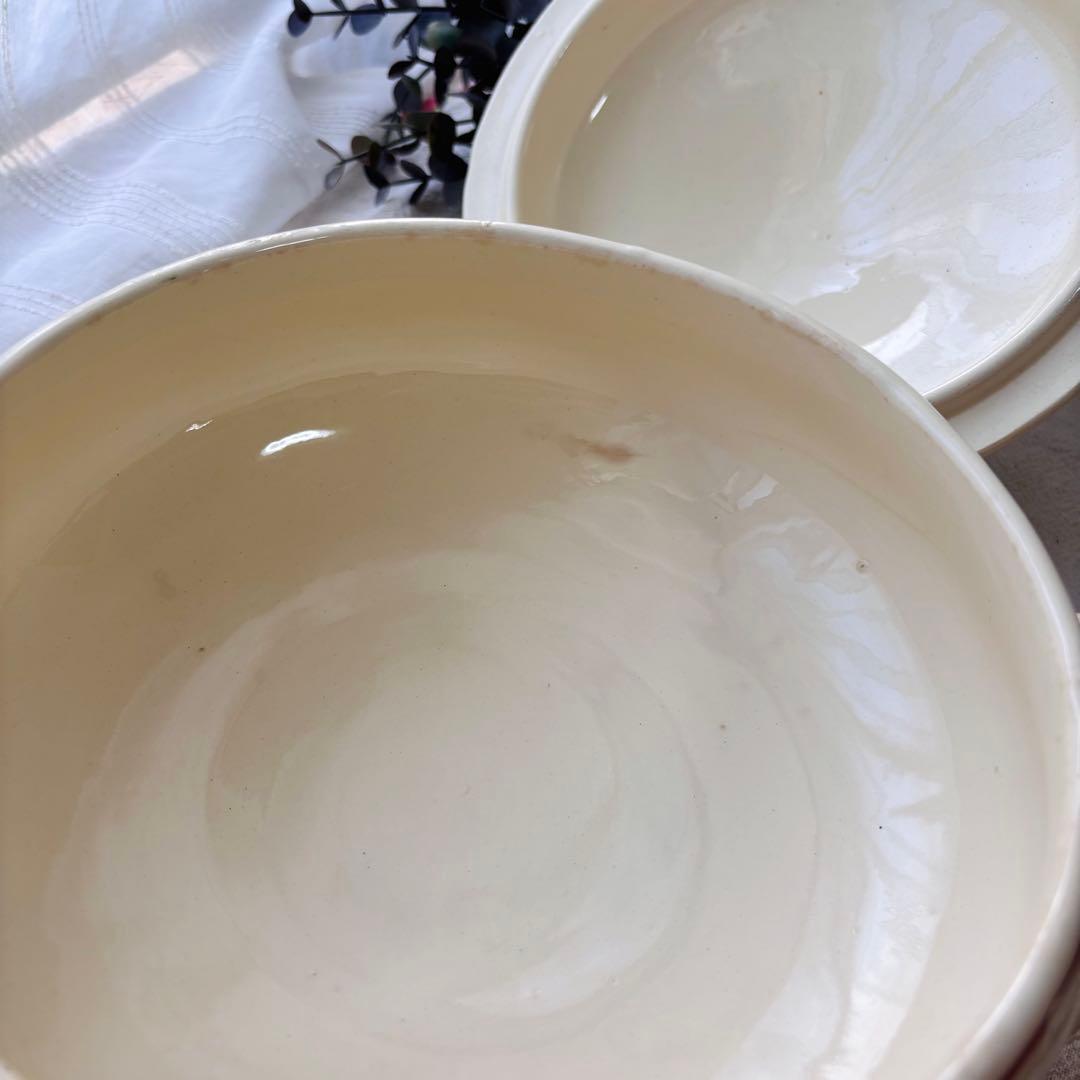 希少】ディゴワン サルグミンヌ アグレスト レギュミエ