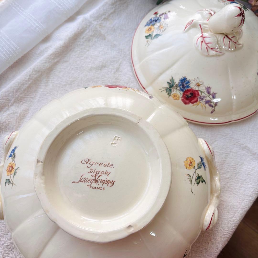 希少】ディゴワン サルグミンヌ アグレスト レギュミエ