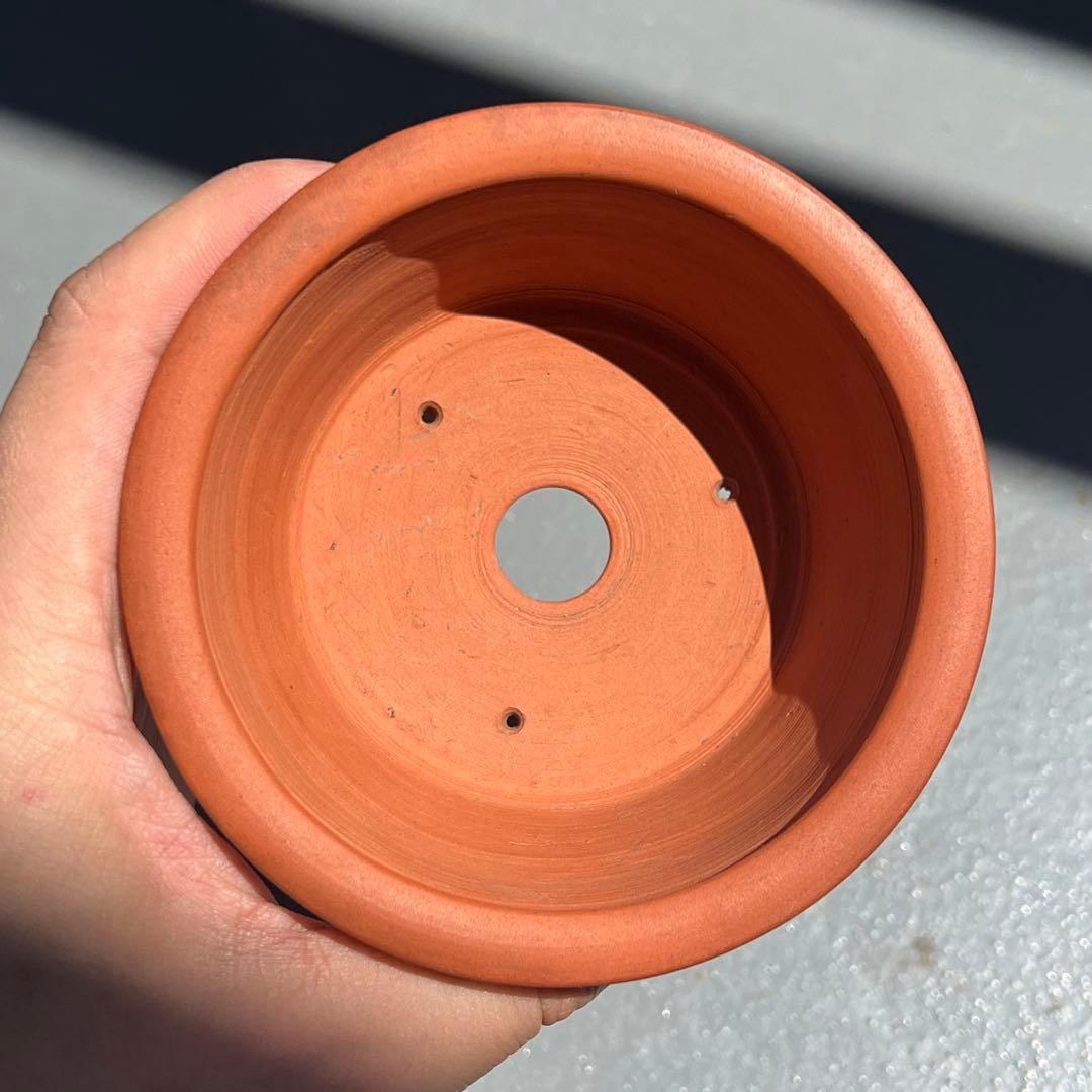 780.森山秀山 朱泥浮彫丸鉢 盆栽鉢 植木鉢 10.1*5.1cm