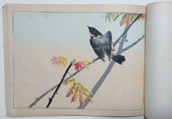 稀省亭版画花鳥画帖12図柄入り渡辺省亭画、明治後期頃