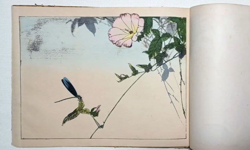 稀省亭版画花鳥画帖12図柄入り渡辺省亭画、明治後期頃