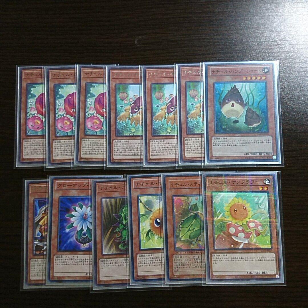 遊戯王【ナチュル】デッキ 地霊使いアウス スリーブ付.
