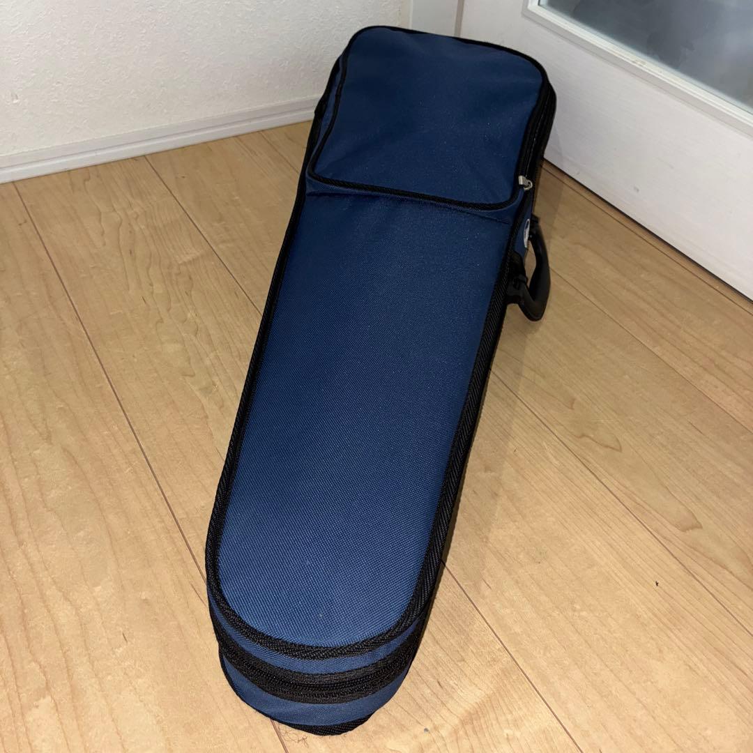 美品hallstatt EV-30 cv-210e エレキバイオリン　ブラック