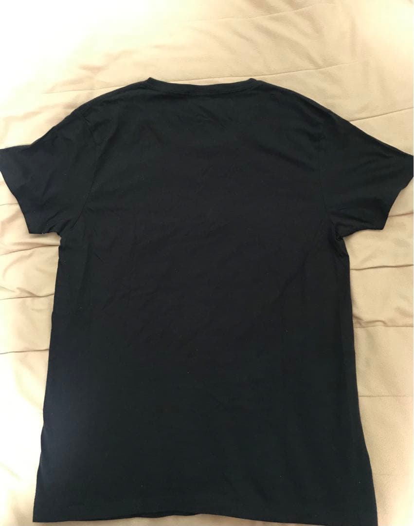 柴咲コウ ライブグッズ  こう咲く 激レアポスター 初回限定版CD などetc