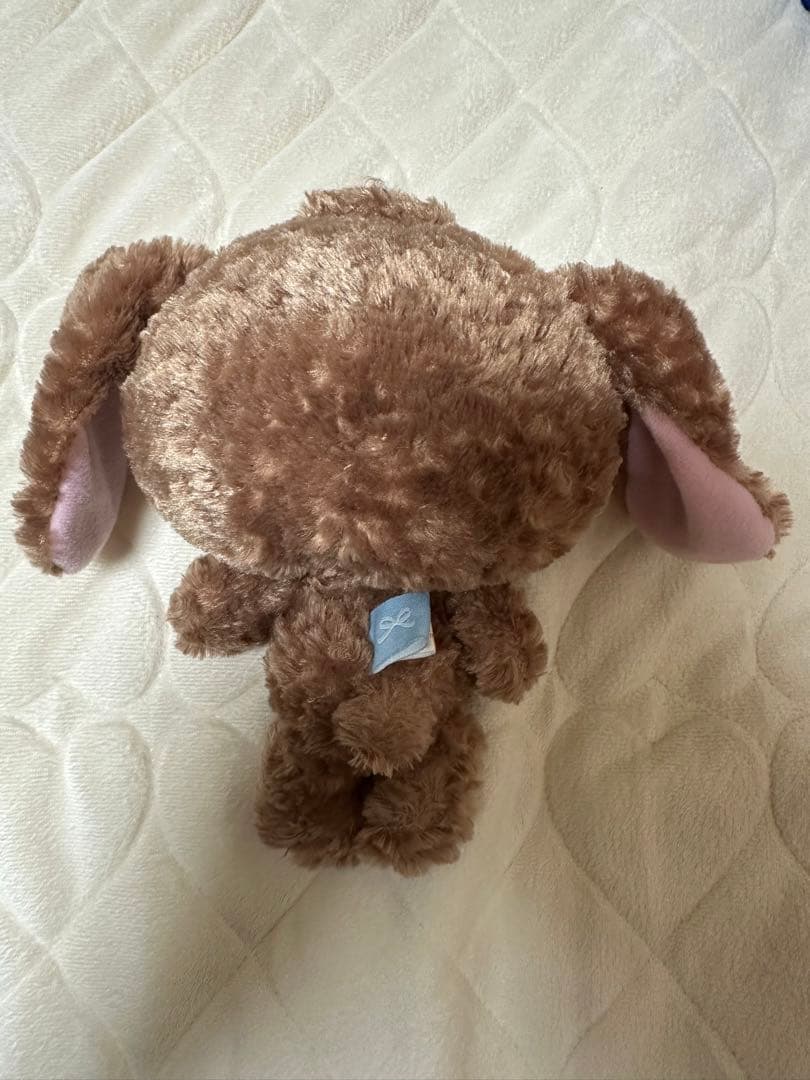 シュガーバニーズ　くろうさ　平成レトロ