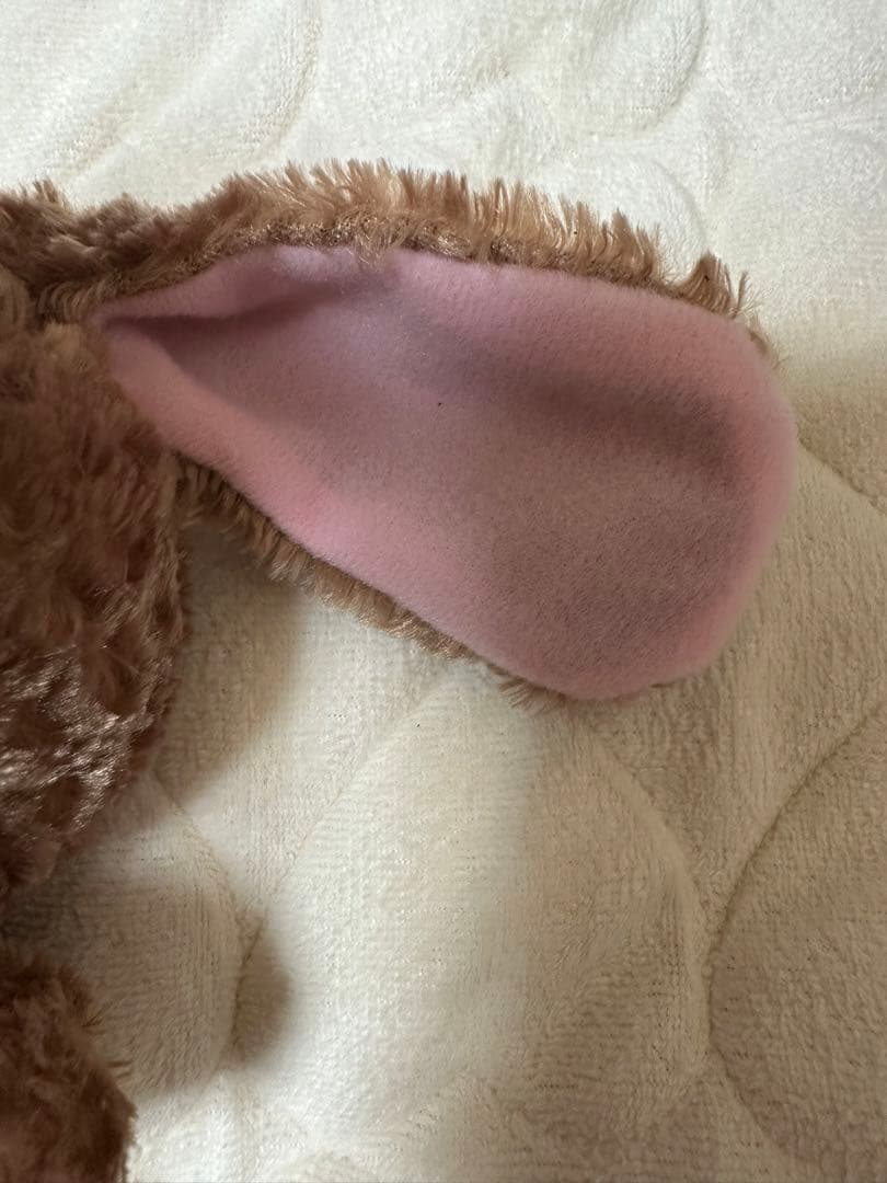 シュガーバニーズ　くろうさ　平成レトロ