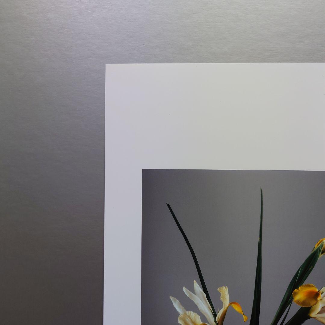 井上治（Osamu Inoue）90020414 フォトアート 静物 作品