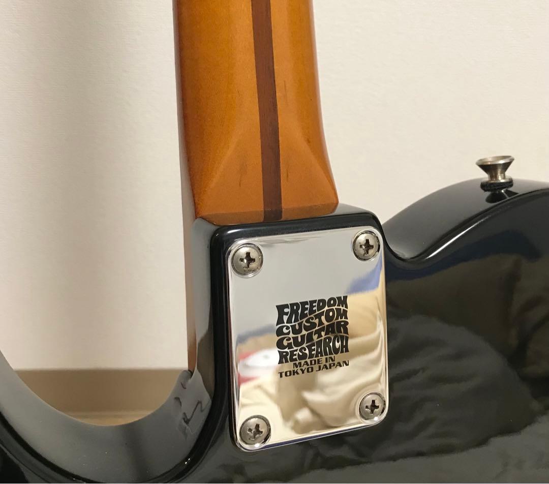Fender Mexico Telecaster ダンカンピック本日終了