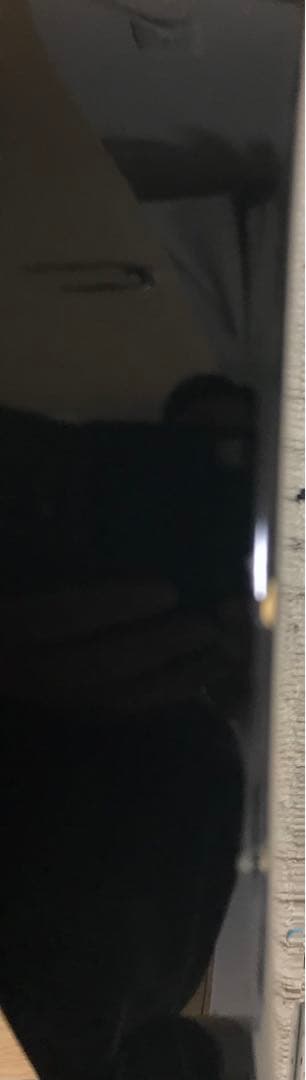 Fender Mexico Telecaster ダンカンピック本日終了