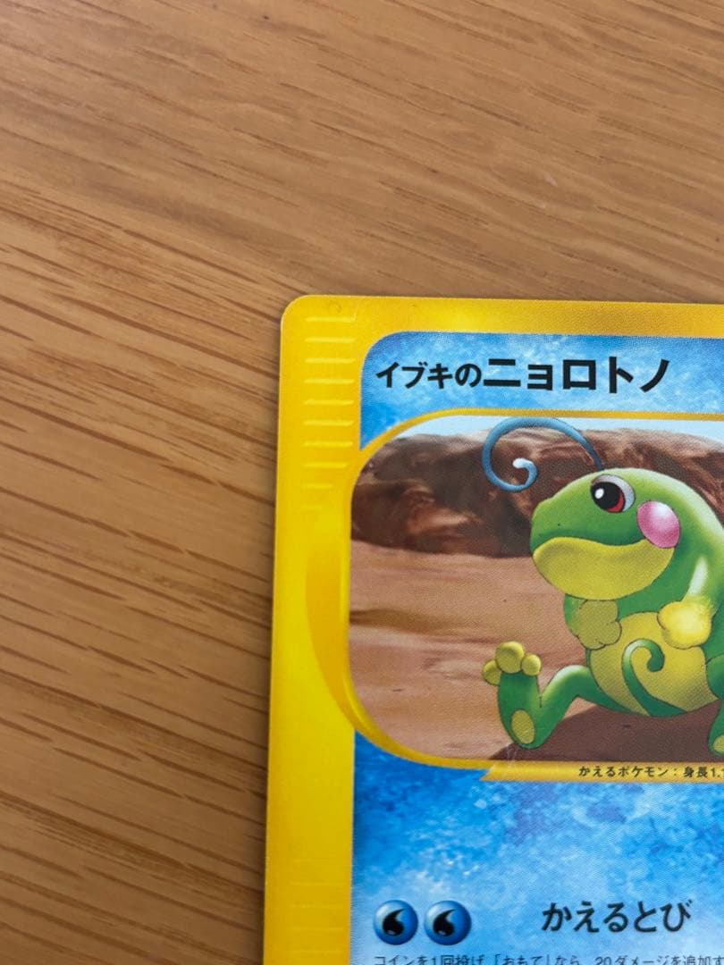 イブキシリーズ　セット売り