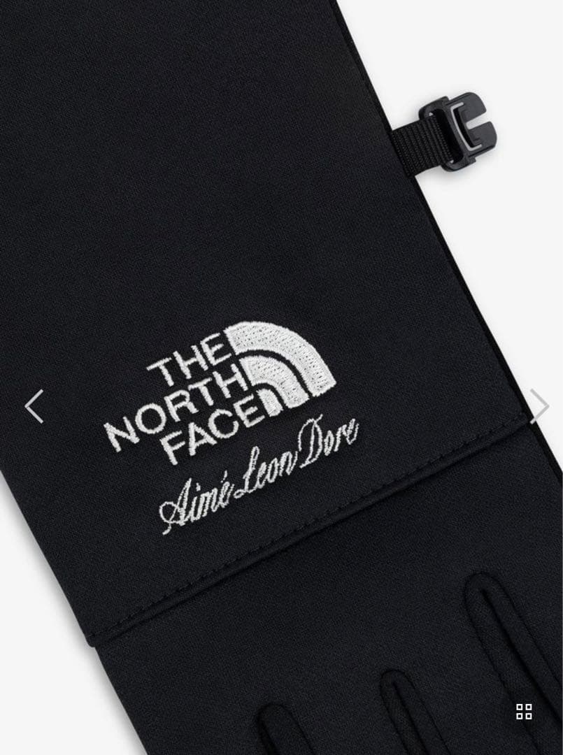 ノースフェイス エメレオンドレ イーチップグローブ コラボ グローブ