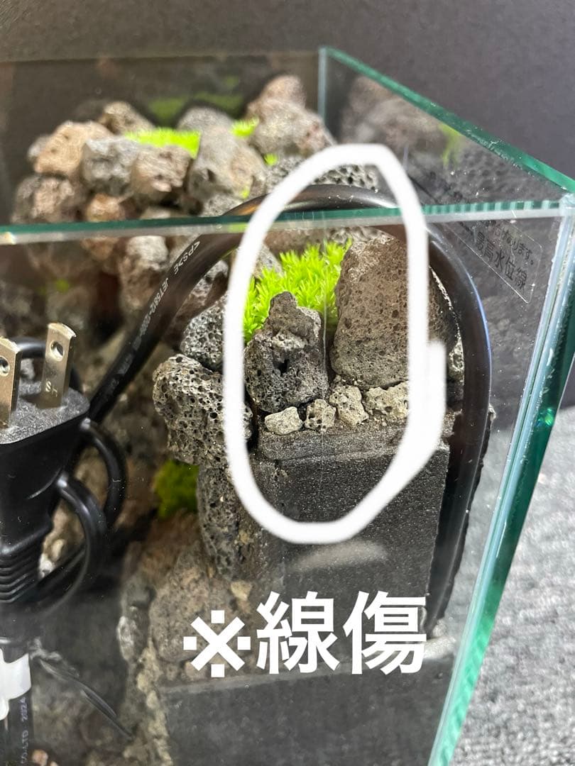 アクアテラリウム 溶岩石 No.3 ※傷あり特価※