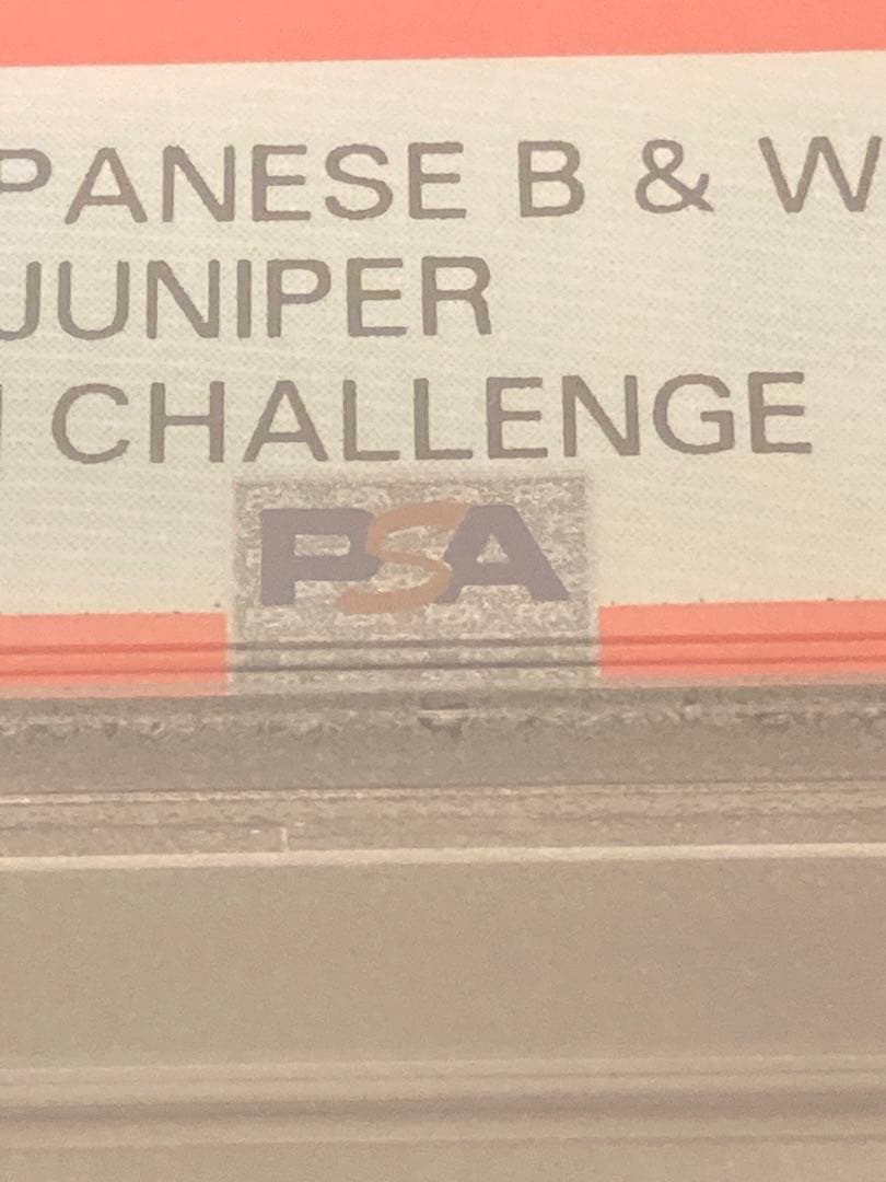 【PSA10】ポケモンカード　アララギ博士　ジムチャレンジプロモ