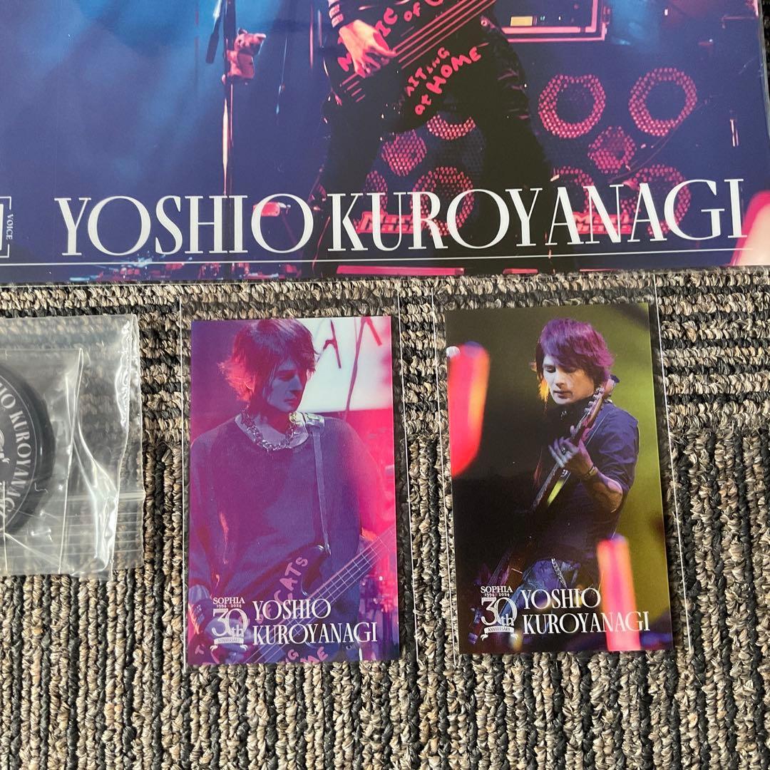 SOPHIA ラッフルくじ 黒柳能生 ソフィア sophia - メルカリ