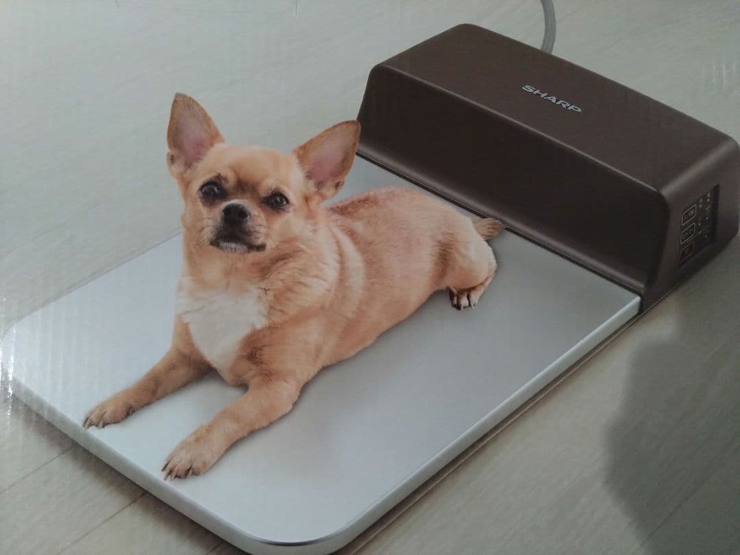犬 猫 ペット用 冷却プレート SHARP シャープ PL-PT40D-T SHARP