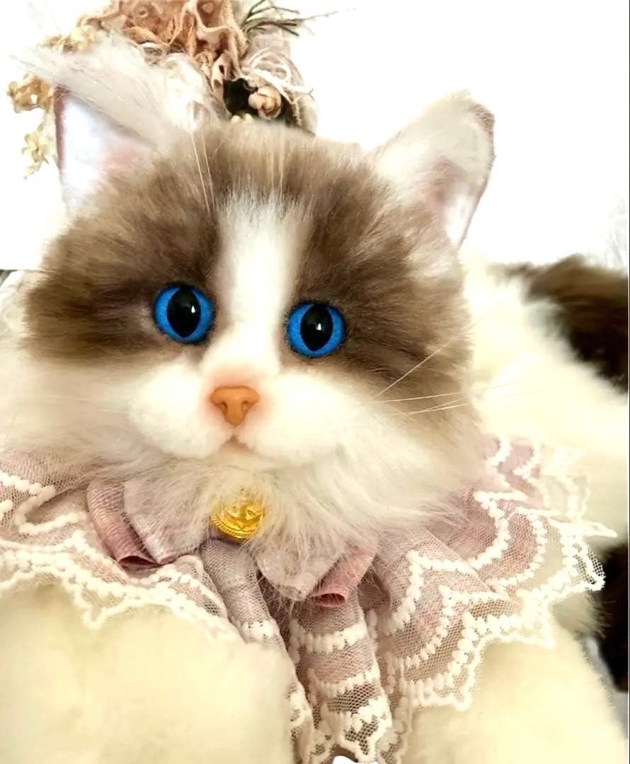 ラグドール＊(⁠.⁠ ⁠❛⁠ ⁠ᴗ⁠ ⁠❛⁠.⁠) アートドール