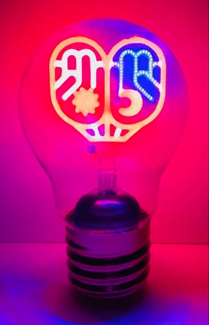 INABA/SALAS Tour 2025 イルミネーションライトバルブ