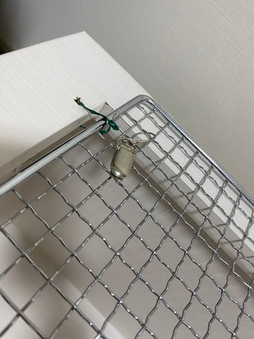 ケージ、カメラ、サーモスタット、サーキュレーター込】ハリネズミ