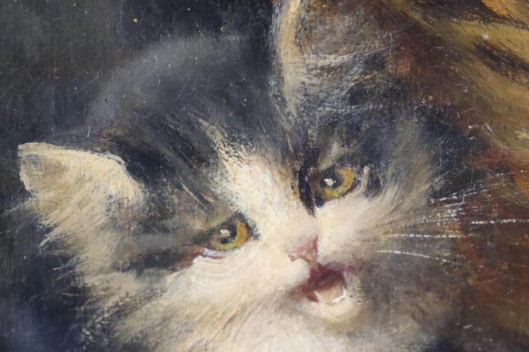 真作保証 19世紀 古画 「3匹の猫」 油彩4号 希少な動物画
