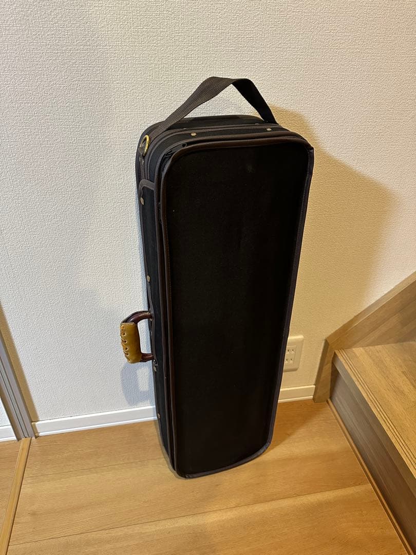 定価5万　綺麗　軽量　バイオリンケース　4/4 部活　サークル　音大　バイオリン