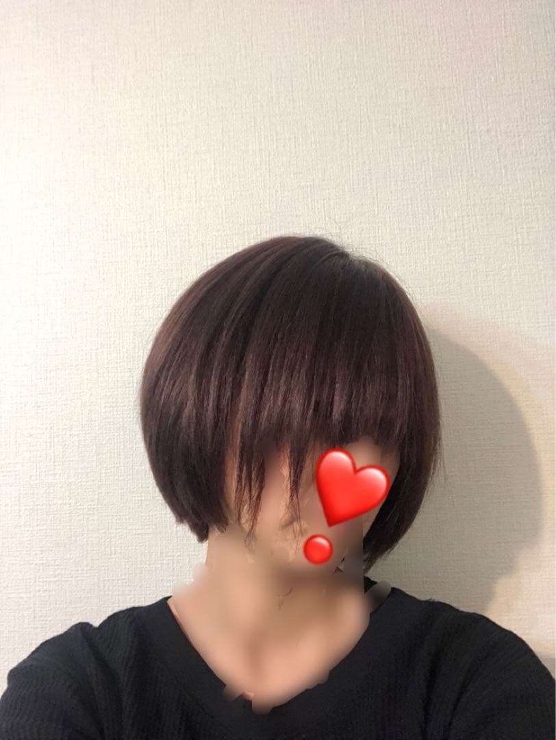 人毛100% ショートボブ ダークブラウン　未使用