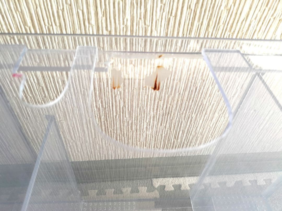 オーバーフロー曲げガラス水槽 濾過槽 セット 排水管付き