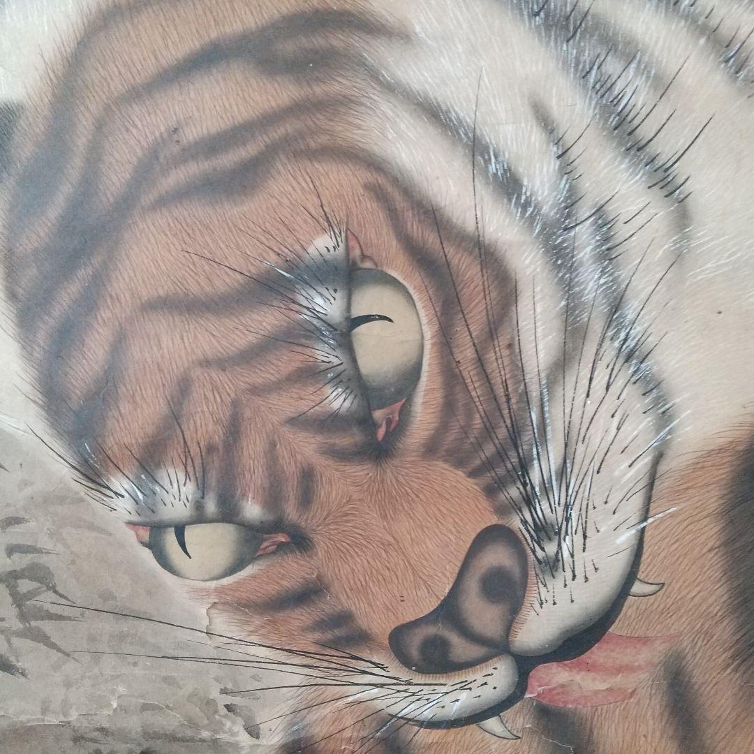 江戸絵画  虎  掛け軸  肉筆  江戸時代  貴重  骨董  茶道具