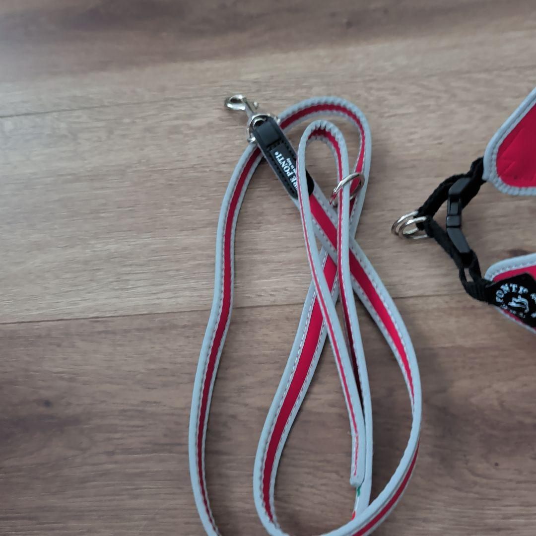 TRE PONTI トレポンティ 1.5号 イヌ 首輪 ハーネス &リード 首輪 犬 リード