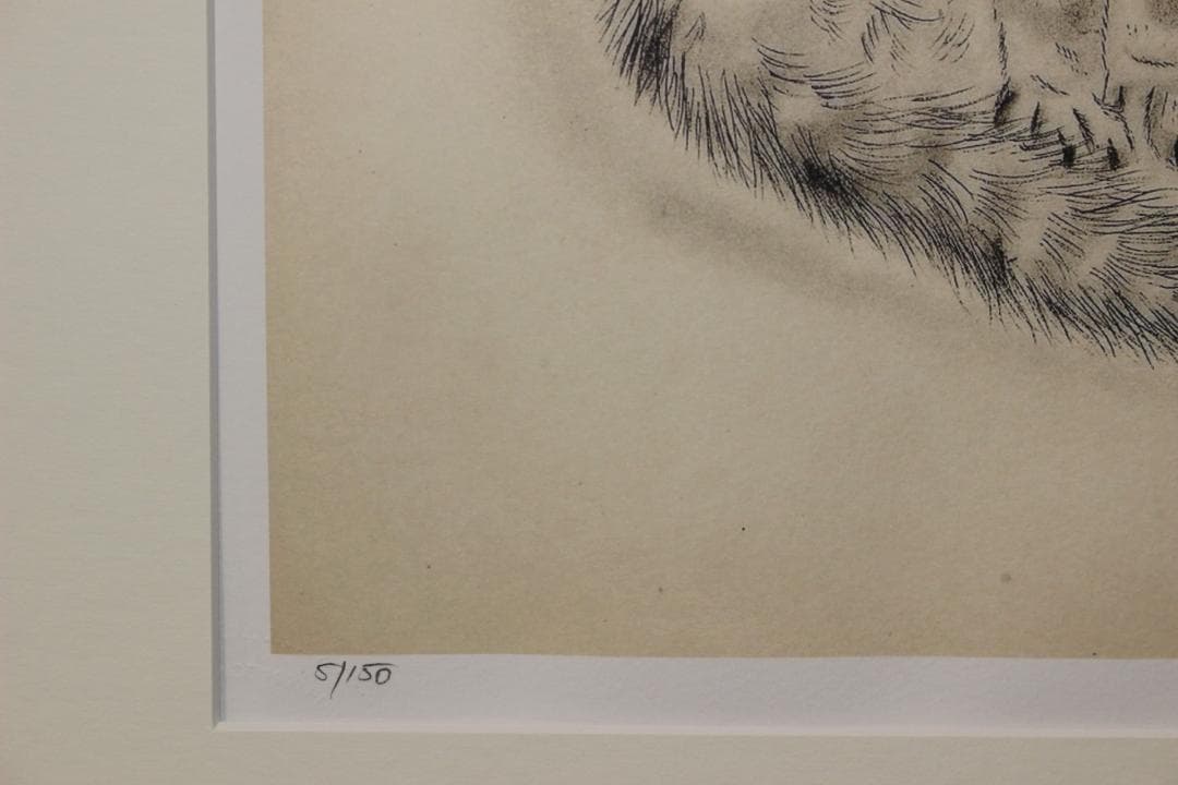 藤田嗣治 エスタンプリトグラフ 猫の本より「メッサリーナ」