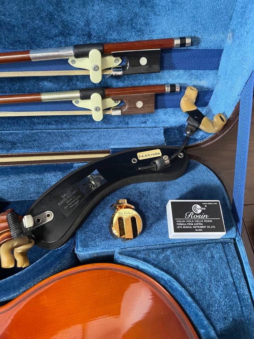 ビオラ　カルロジョルダーノ(VL-1)