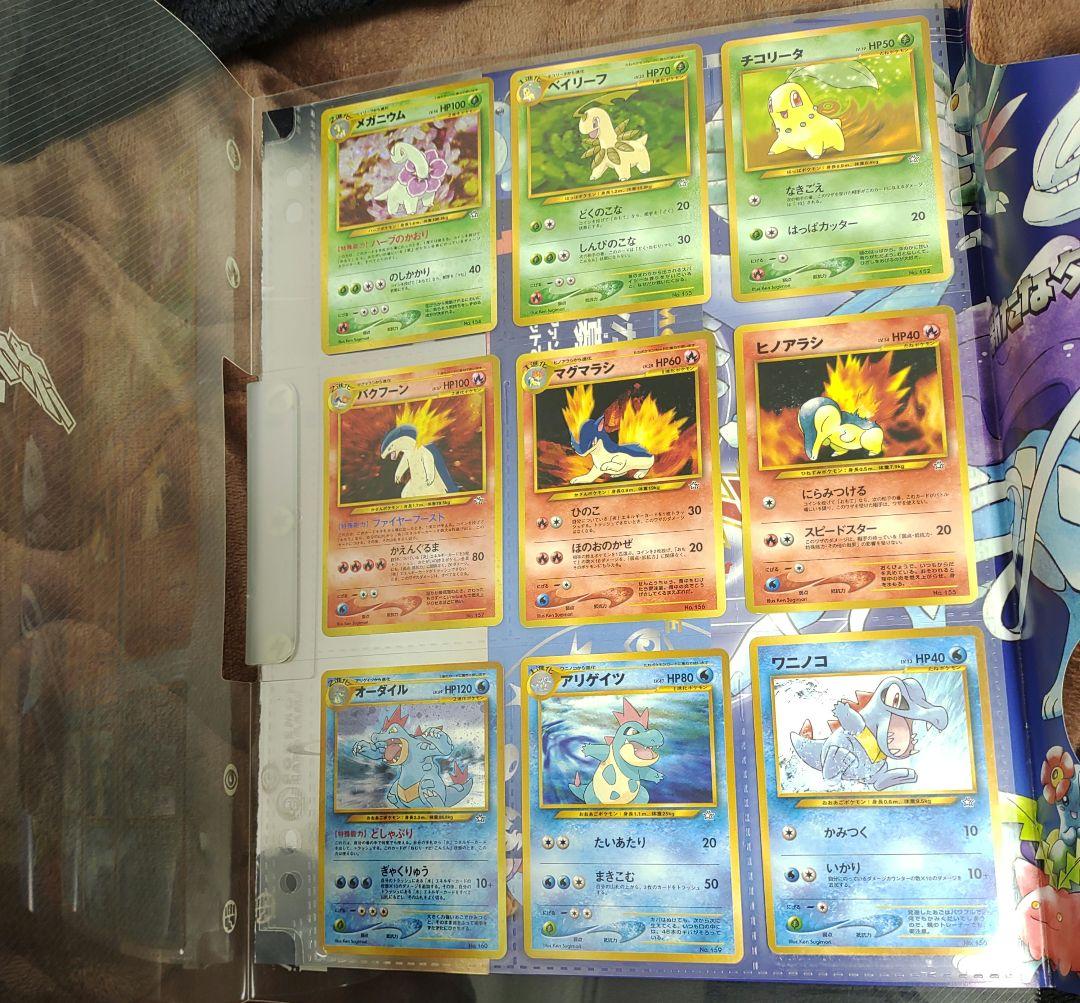 ポケモンカードゲーム neo プレミアムファイル　金銀　ネオ