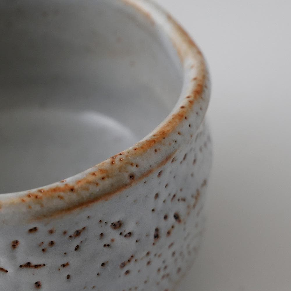 明治神宮奉献の窯 美濃焼窯元 秀山窯 志野茶碗 茶道具 共箱 栞 - メルカリ