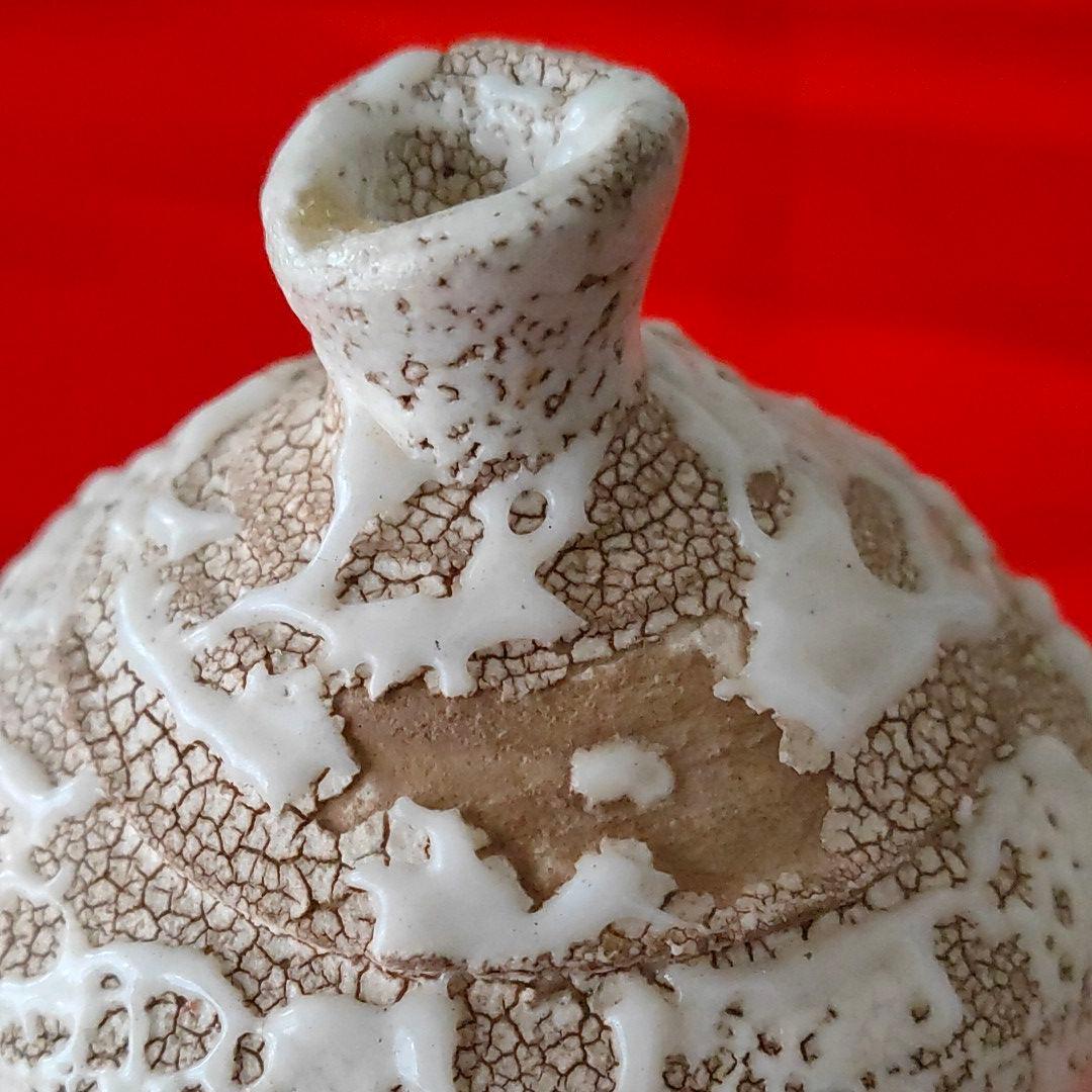 壺　岩月竹光　志野 C