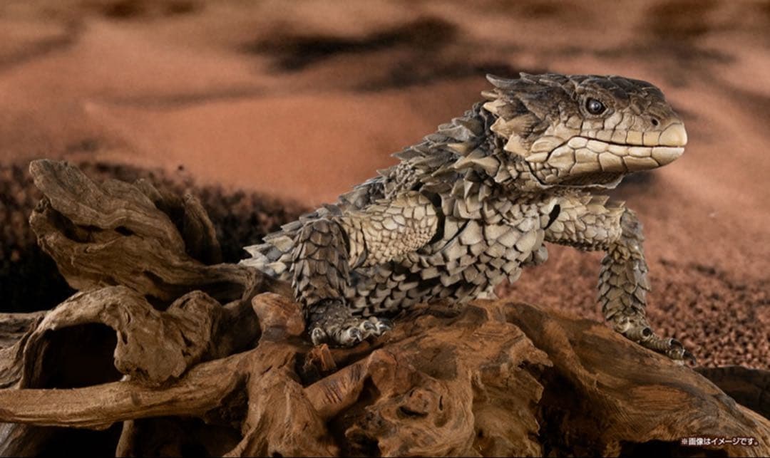 いきもの大図鑑アルティメット　オオヨロイトカゲ　未開封
