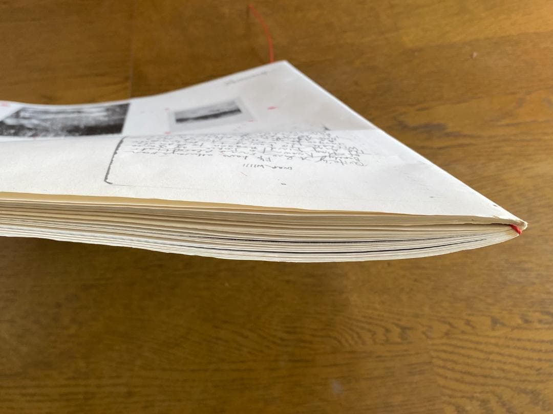 マーク・ボスウィック　100部限定　アートブック 貴重　オリジナルプリント付