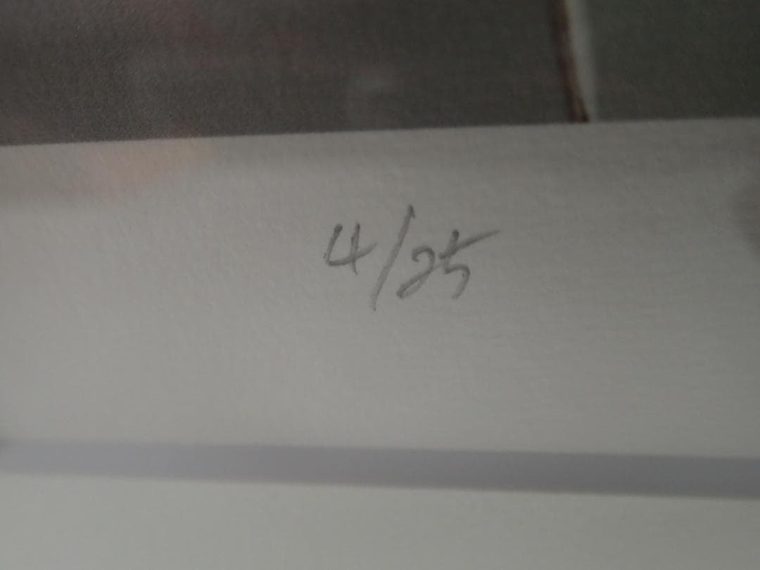 ㊱新品・保証書付 Tonyトニー「クララクラン」ミクスドメディア