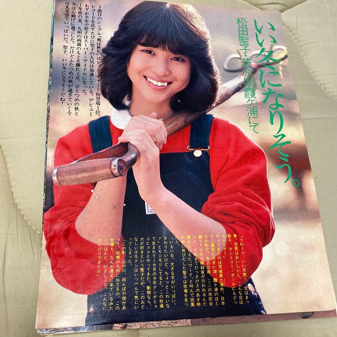 松田聖子19歳 超貴重 切り抜き 1981年 美品 - メルカリ