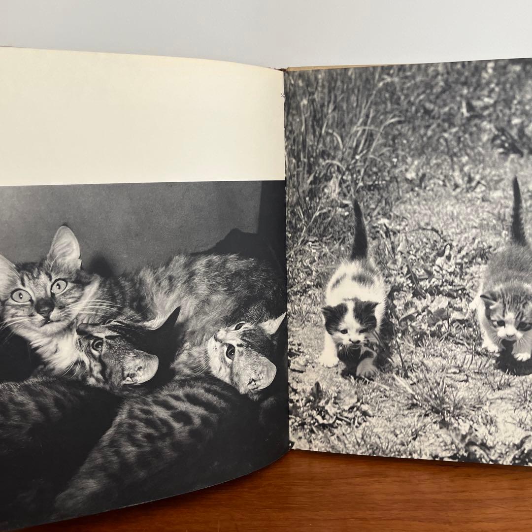 猫の写真集 CHATS HENRI SAAS フランスヴィンテージ