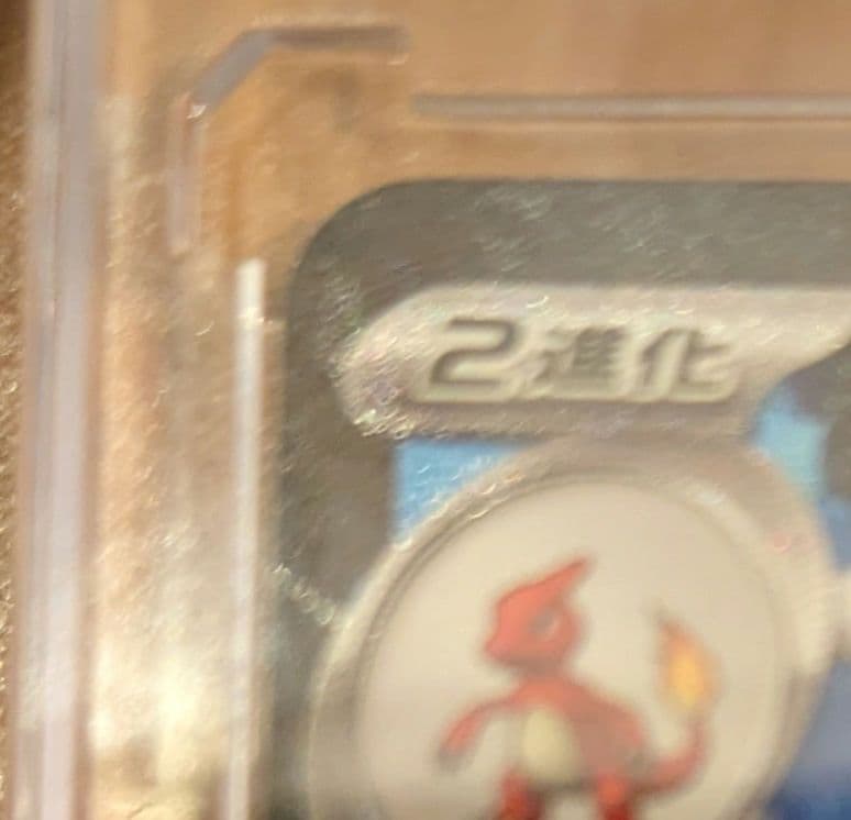 メガリザードンXex