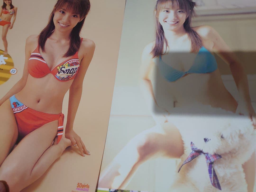 【大量】グラビアアイドル・山本梓さん 雑誌切り抜き