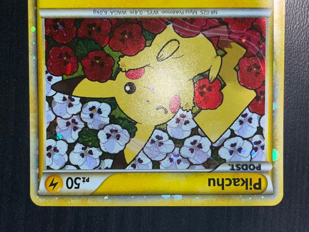 ピカチュウワールド　ポーランド