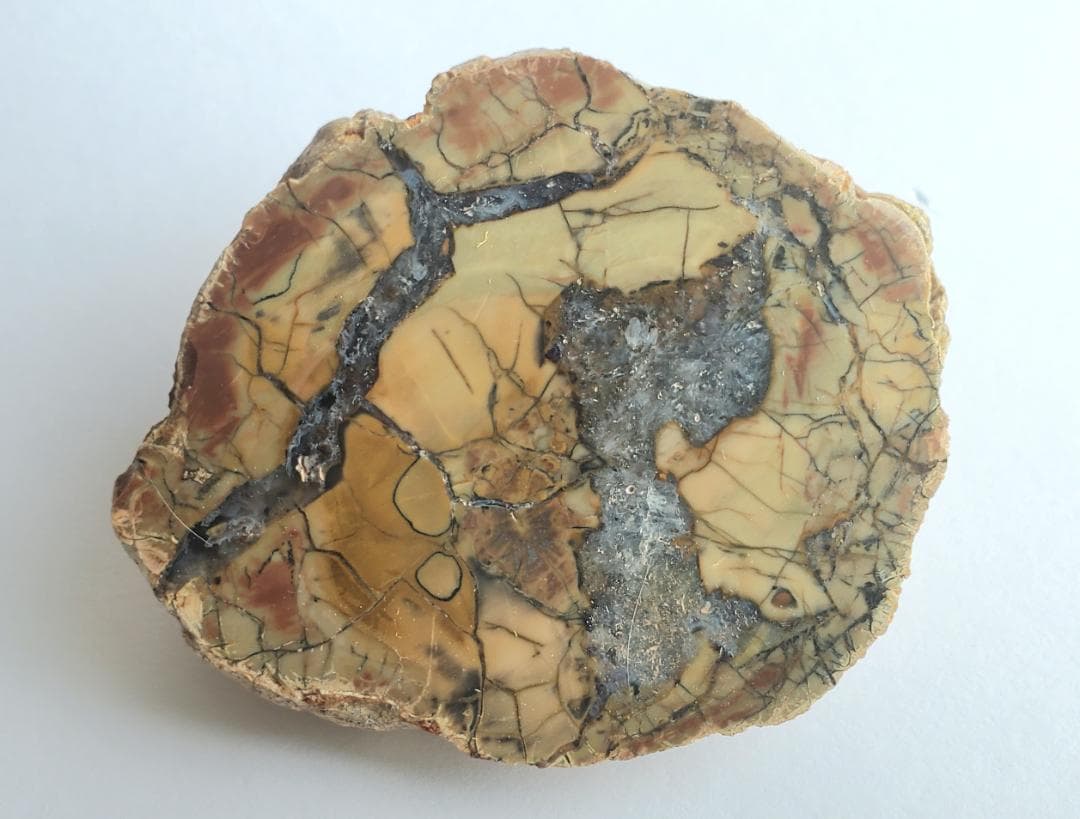 コレクターズアイテム】サンダーエッグ