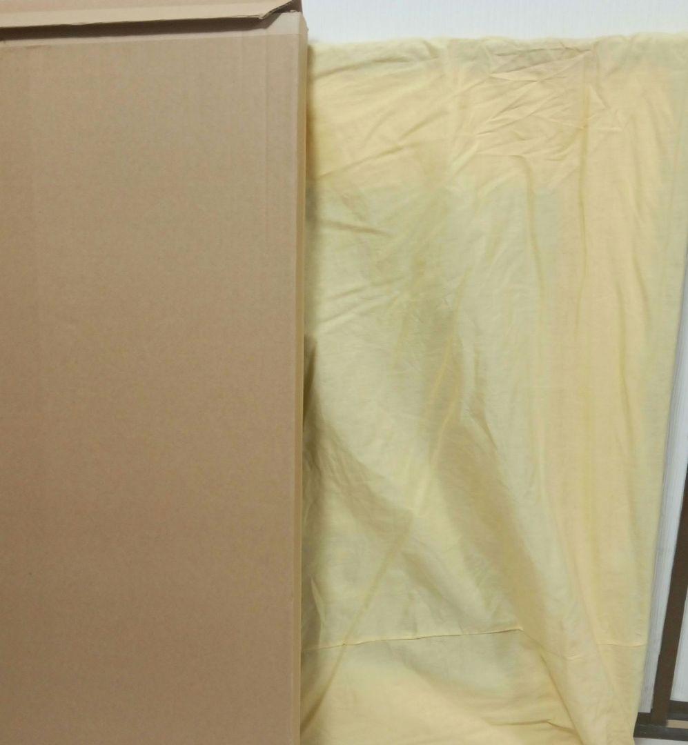 レイモン・ペイネ パリの2人 リトグラフ 直筆サイン　黄袋　箱入