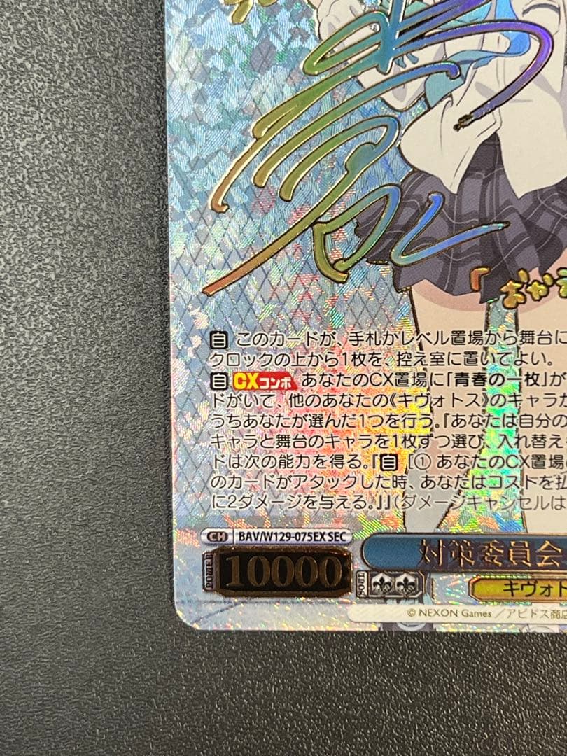 対策委員会シロコ SEC 箔押しサイン付き - メルカリ