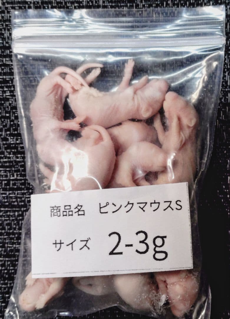 送料無料 冷凍ピンクマウスS100匹