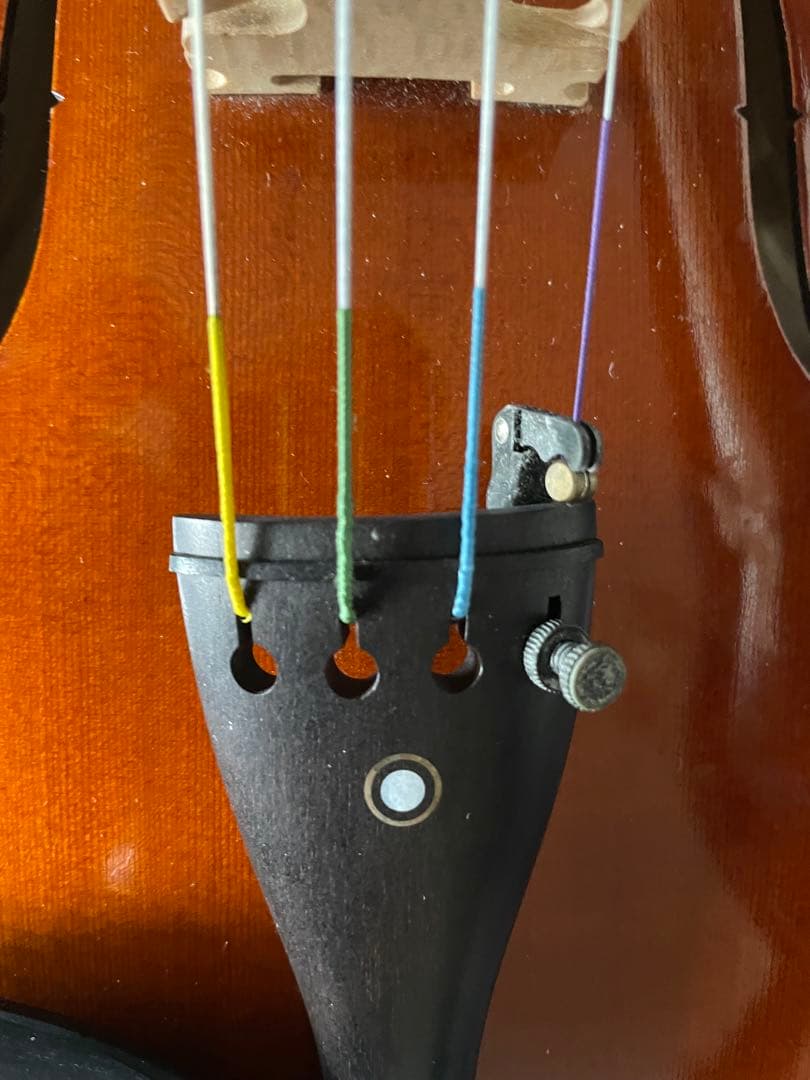 Roderich Paesold 804A ペゾルト 4/4 バイオリン