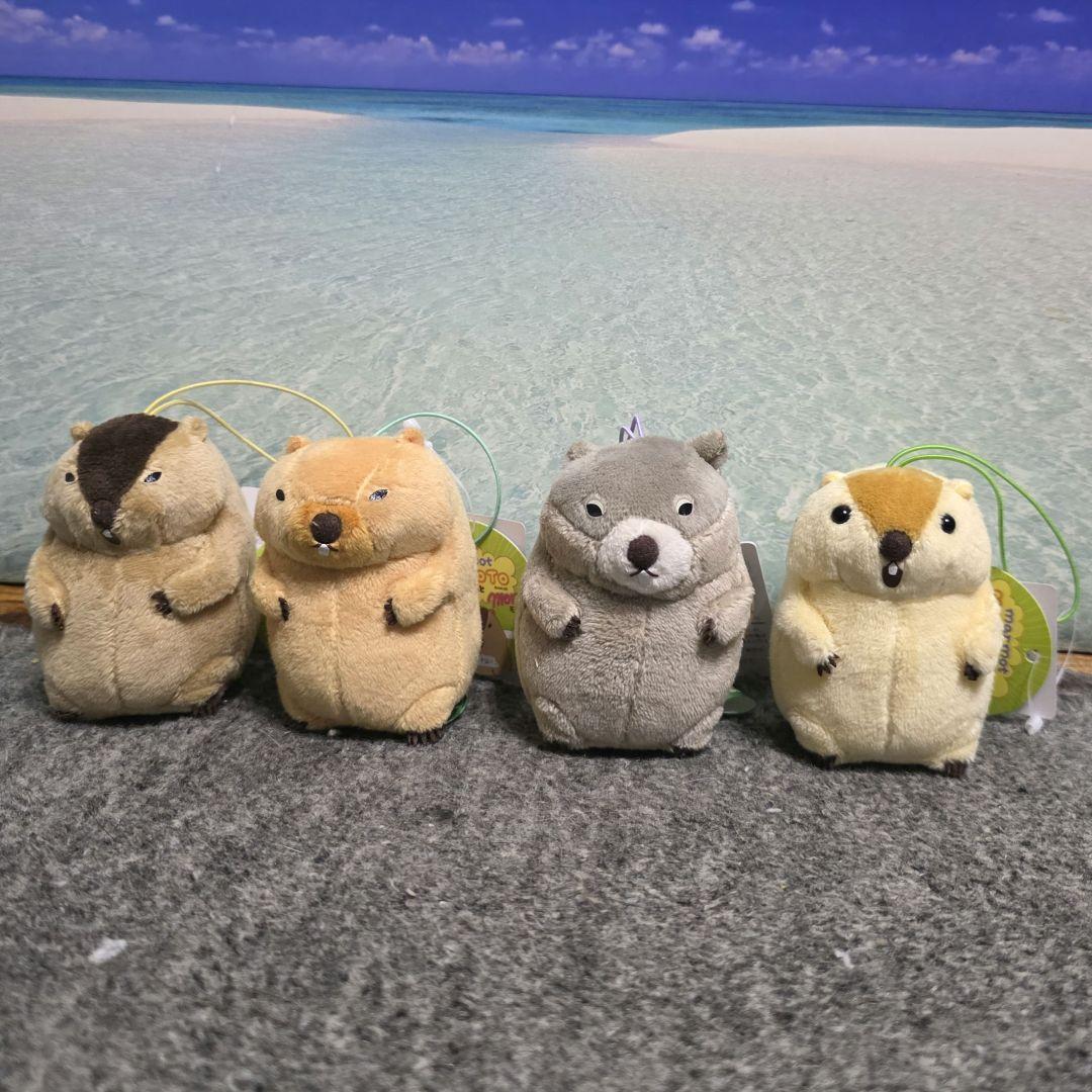 マーモットのもっとっとモア vmcマスコット 全種セット - メルカリ