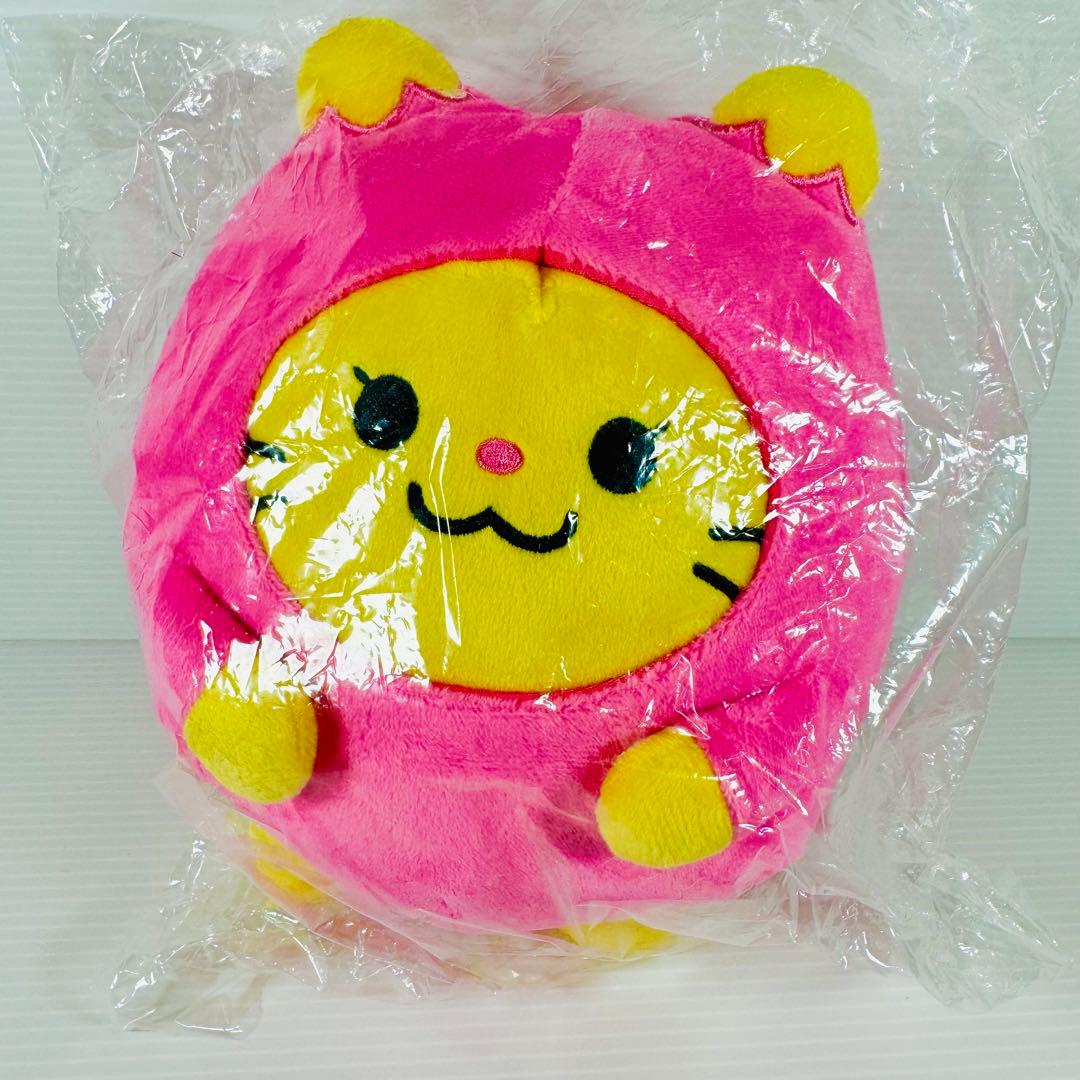 【入手困難】【新品未使用品】WDZY HATT 2点セット