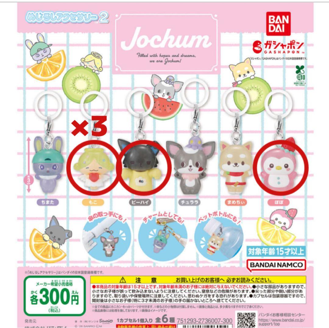 JOCHUM ジェオチャム めじるしアクセサリー もこ ピーハイ ぽぽ セット